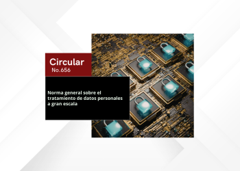 Norma general sobre el tratamiento de datos personales a gran escala